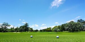 Sân golf xanh mướt, ánh nắng, gậy golf.